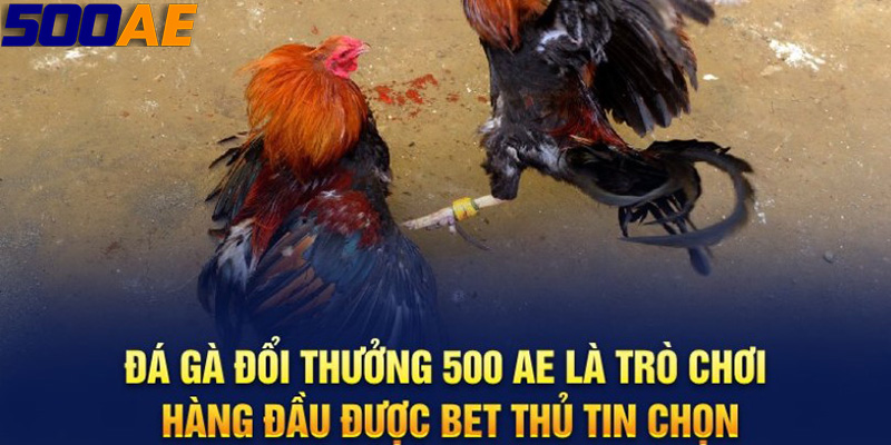 Vai trò của cộng đồng trong trò chơi